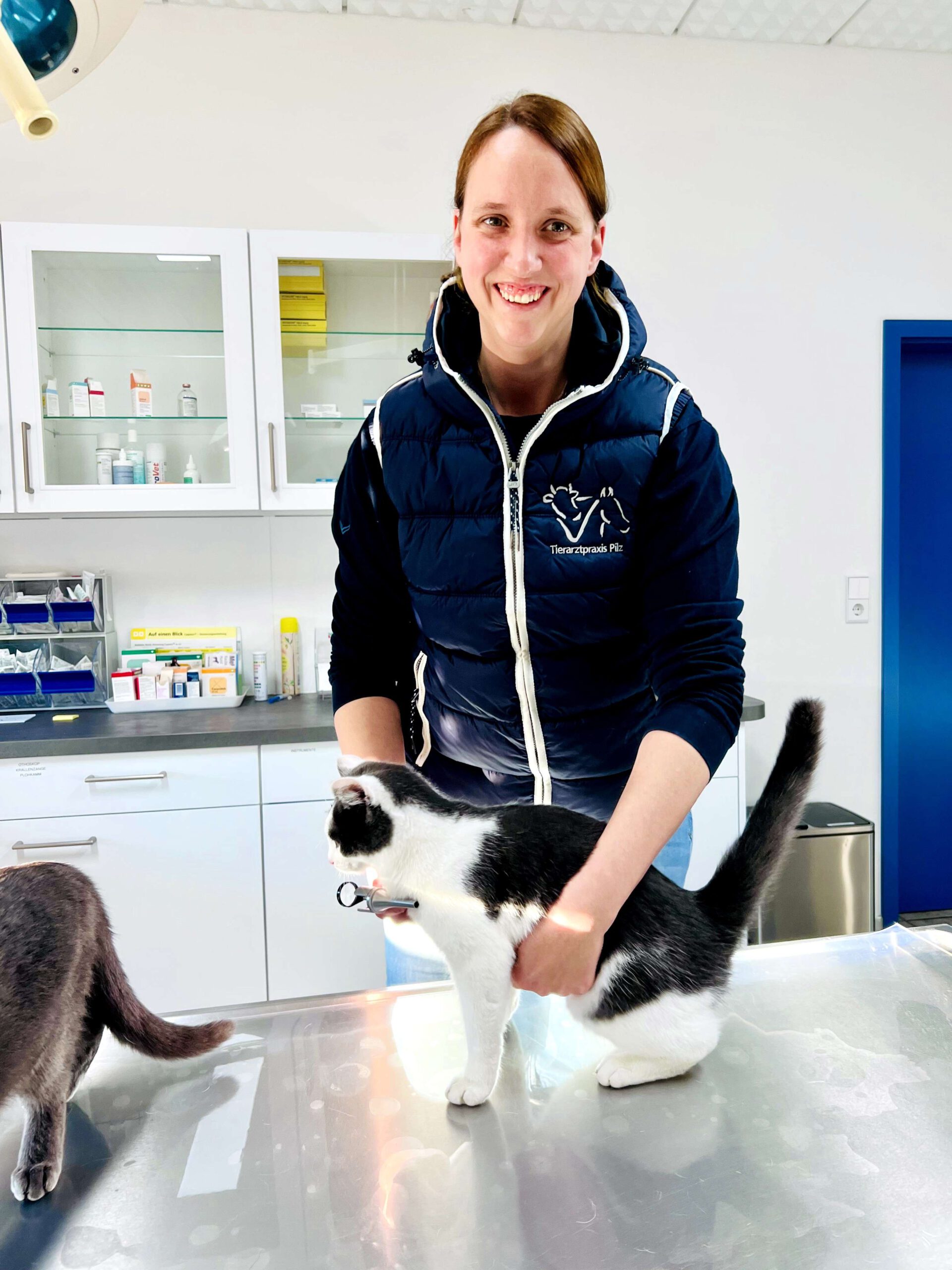 TFA Steffanie Linke bei der Untersuchung einer Katze - Tierarztpraxis Pilz in Haigerloch
