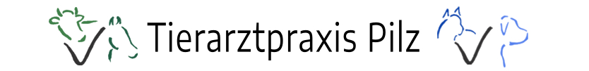 Tierarztpraxis Pilz in Haigerloch