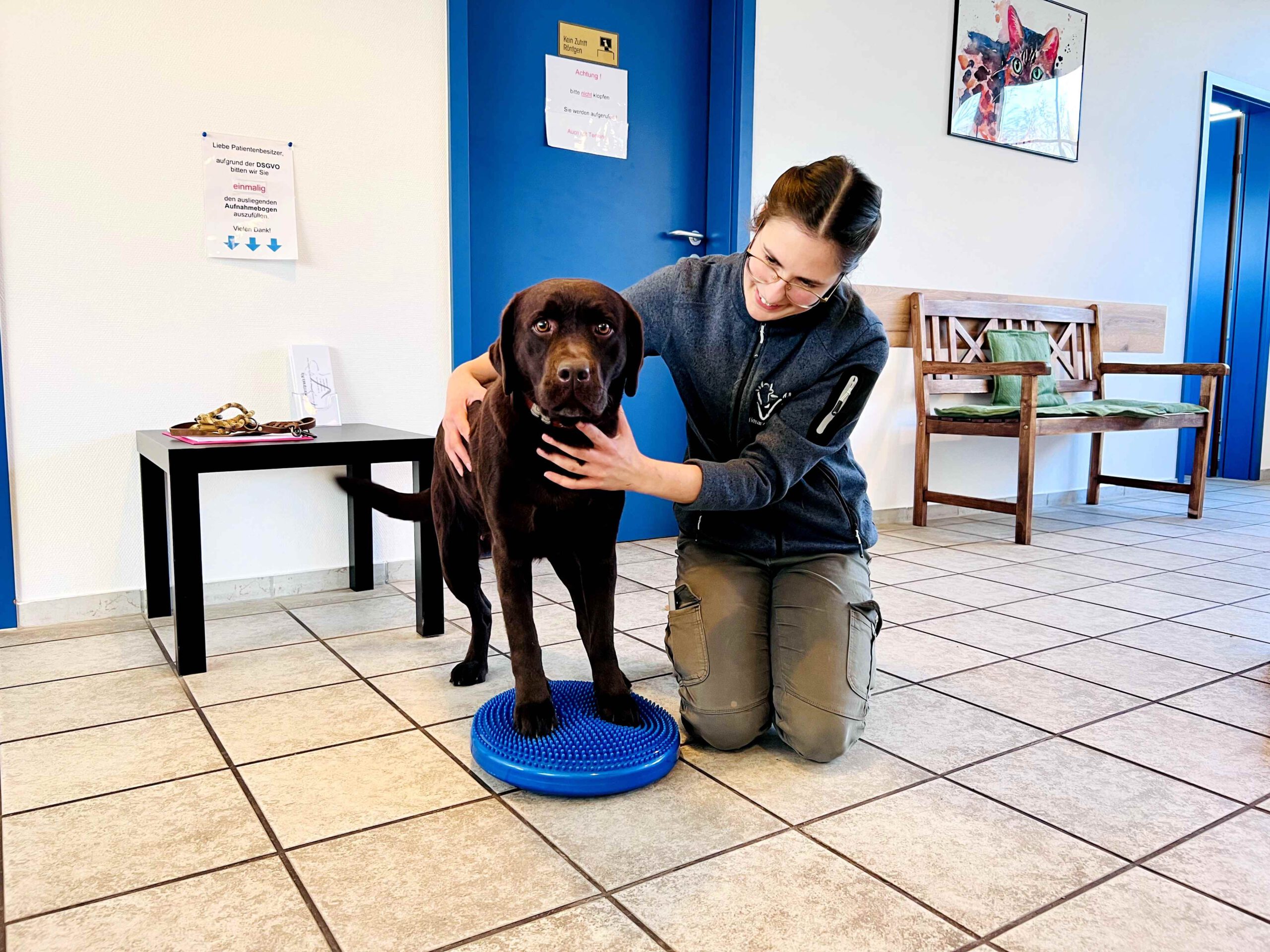 Frau Paukovic führt physiotherapeutische Maßnahmen an einem Hund durch - Tierarztpraxis Pilz in Haigerloch
