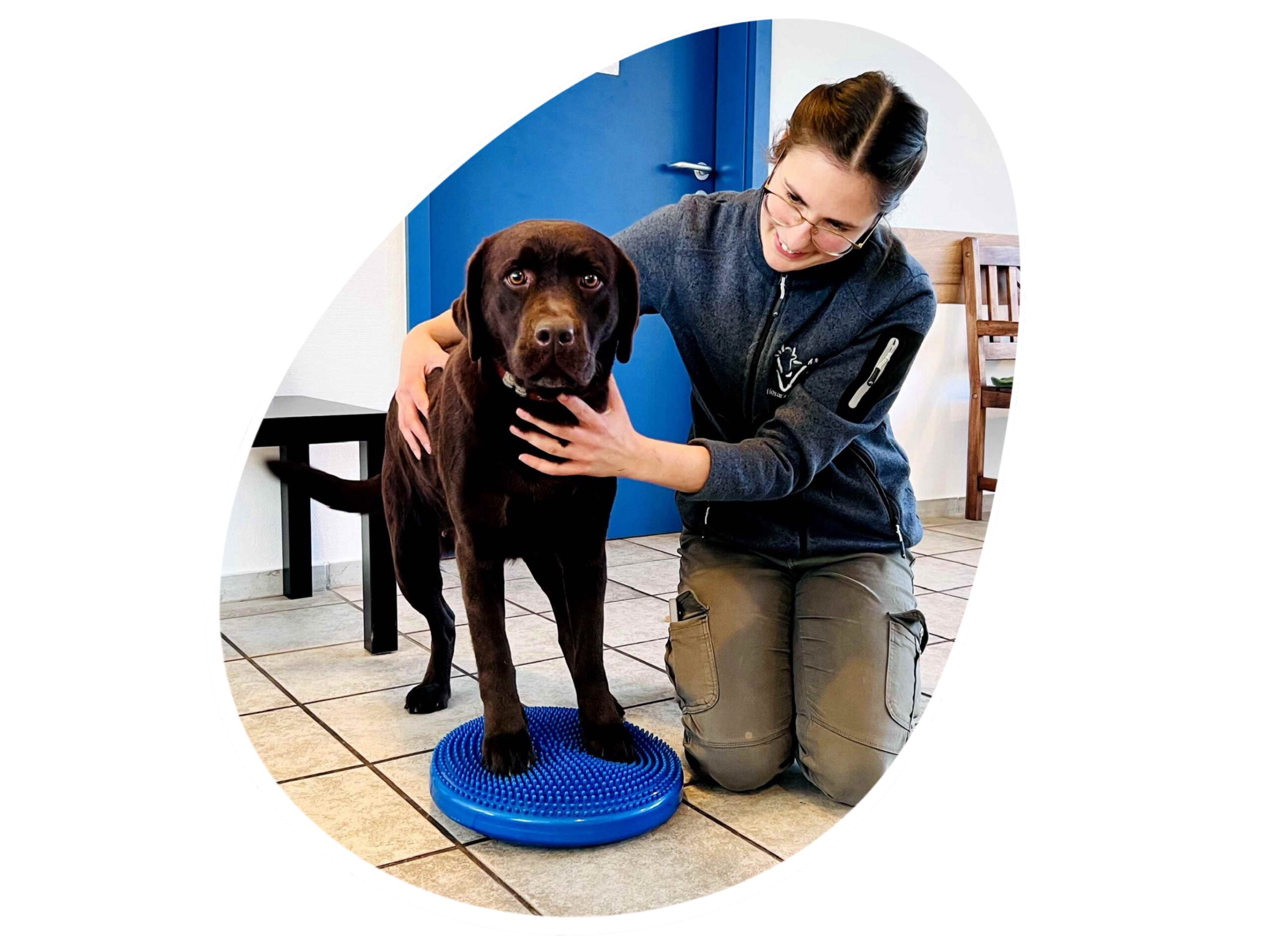 Frau Paukovic führt physiotherapeutische Maßnahmen an einem Hund durch - Tierarztpraxis Pilz in Haigerloch