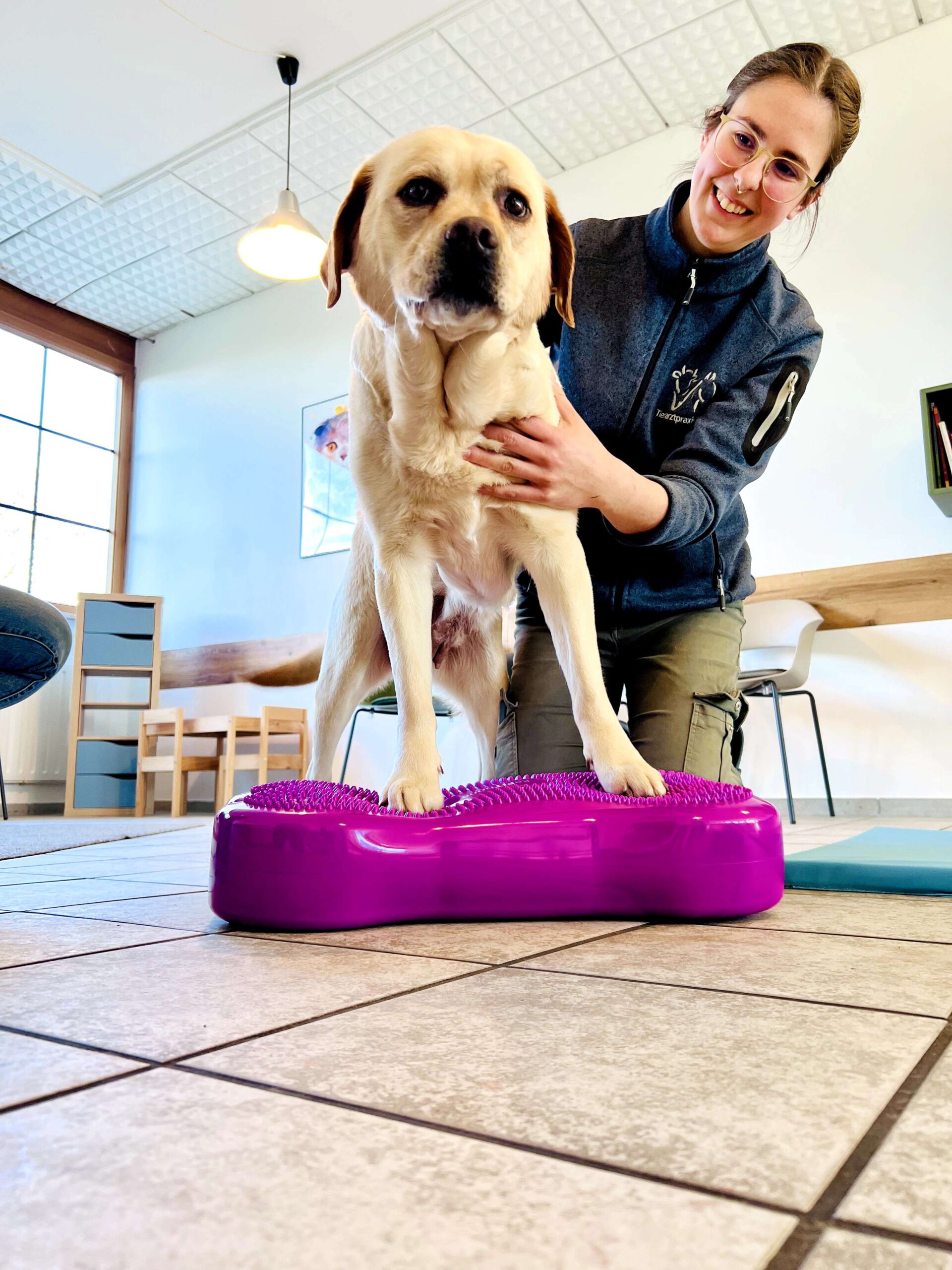 Frau Paukovic führt physiotherapeutische Maßnahmen an einem Hund durch - Tierarztpraxis Pilz in Haigerloch