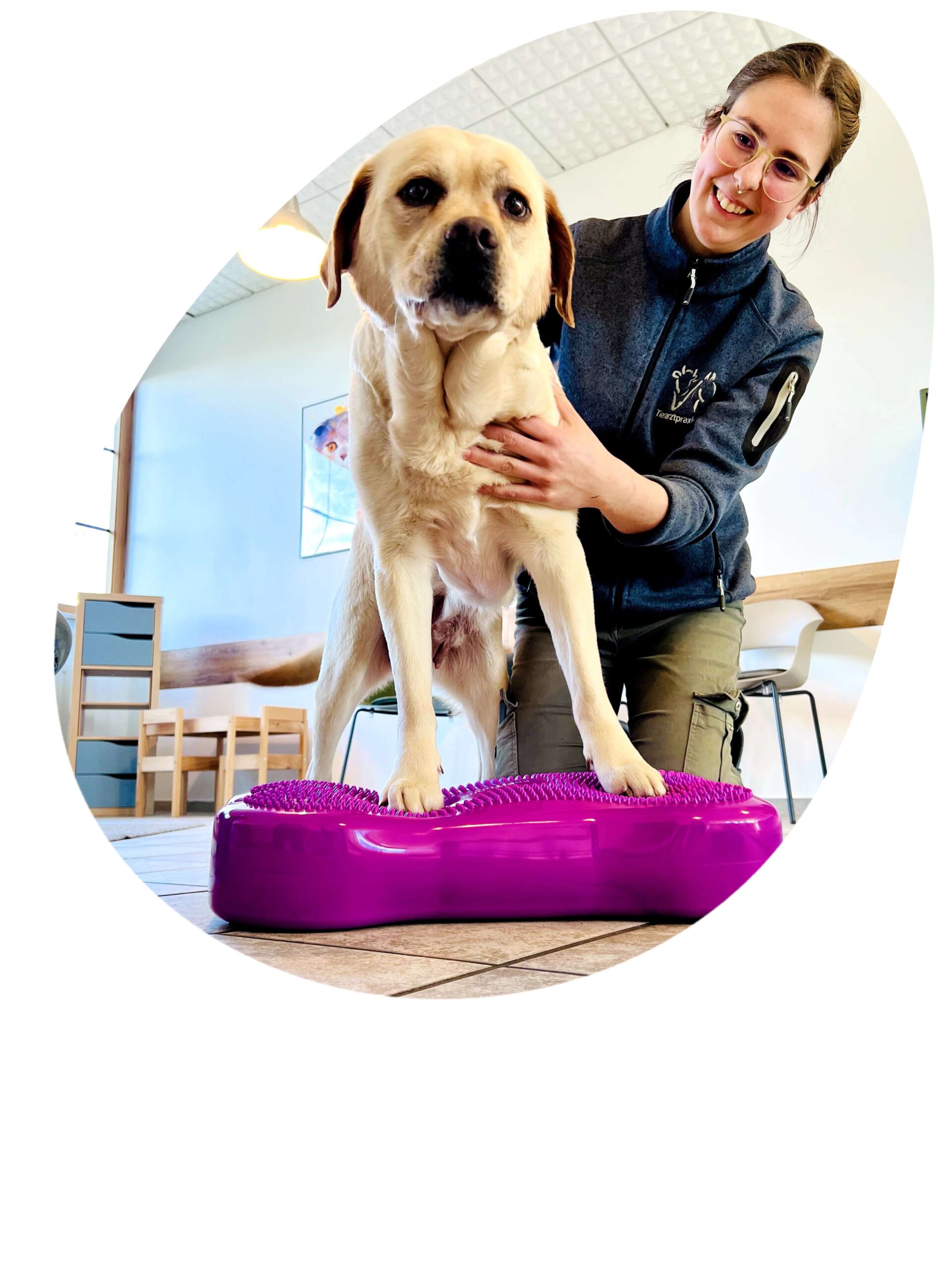 Frau Paukovic führt physiotherapeutische Maßnahmen an einem Hund durch - Tierarztpraxis Pilz in Haigerloch